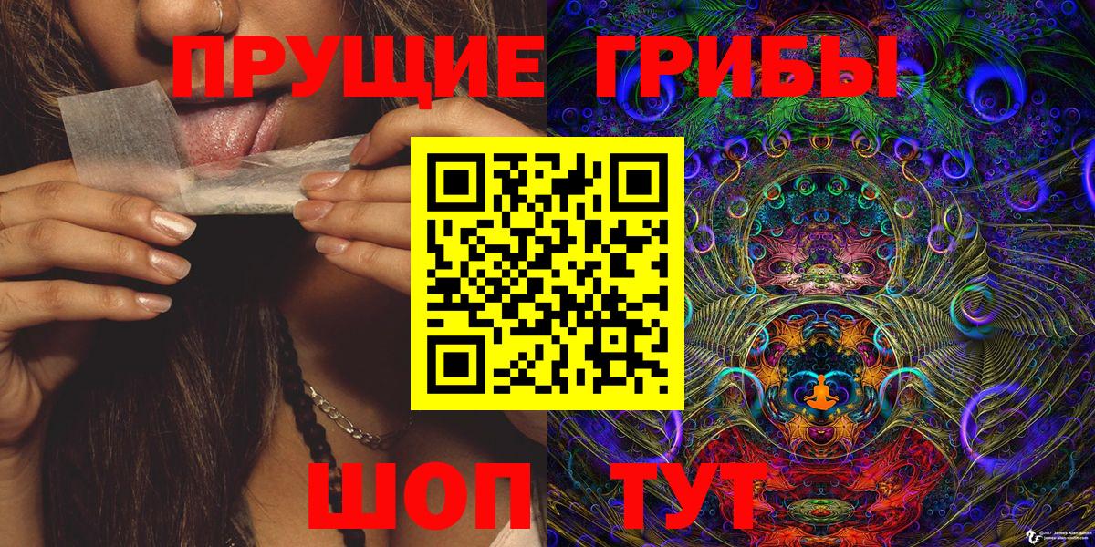 Новотроицк  Псилоцибиновые грибы мухоморы  Вход с VPN 