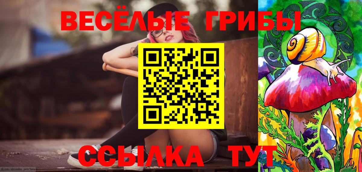 Галлюциногенные грибы Psilocybine cubensis Новотроицк